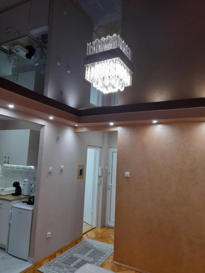 Iva Lux Apartman Zajecar Exterior photo